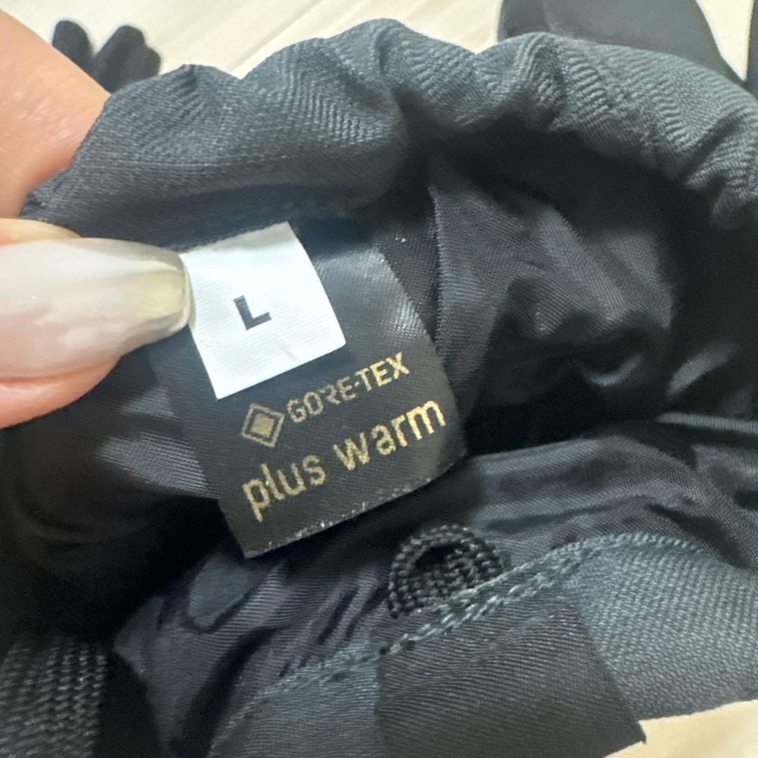 DAKINE GORE-TEX スキーグローブ Lサイズ plus warm