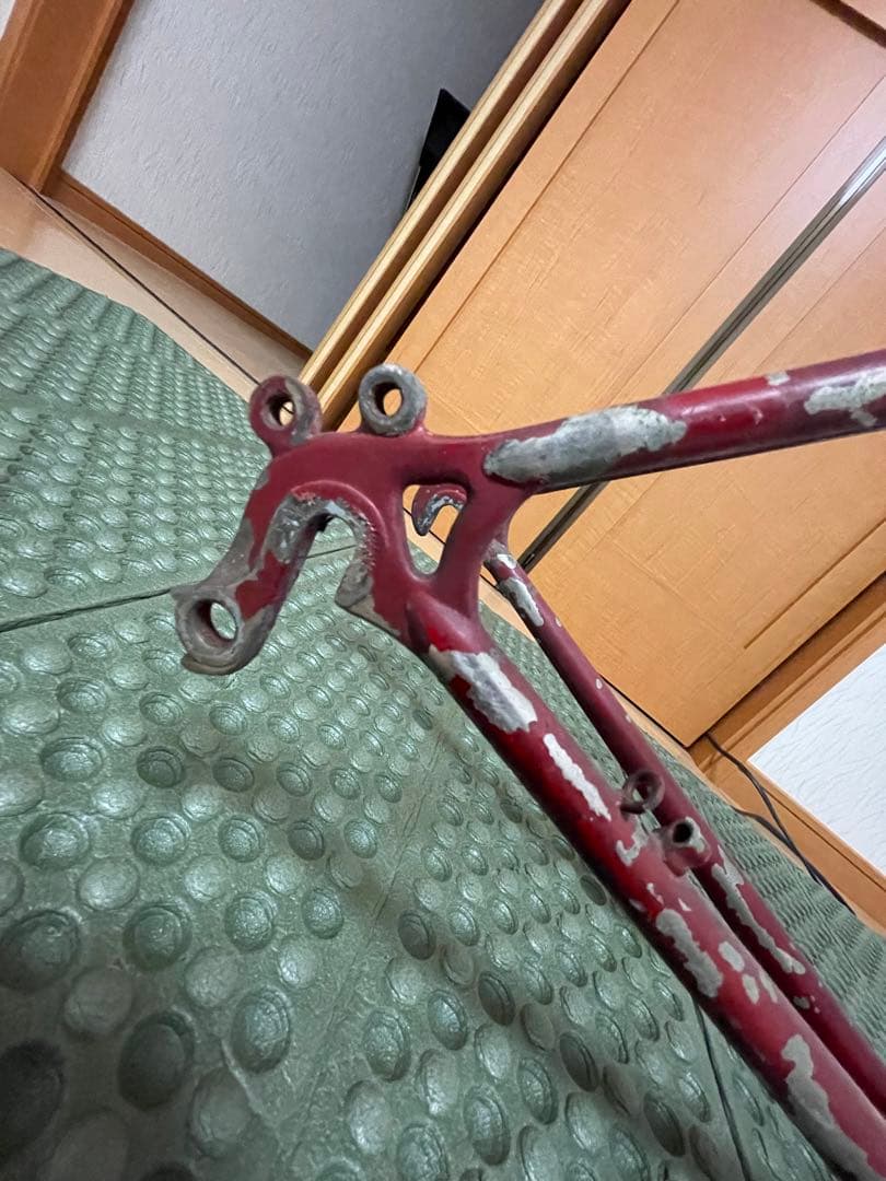 ヒラメ　ランドナー