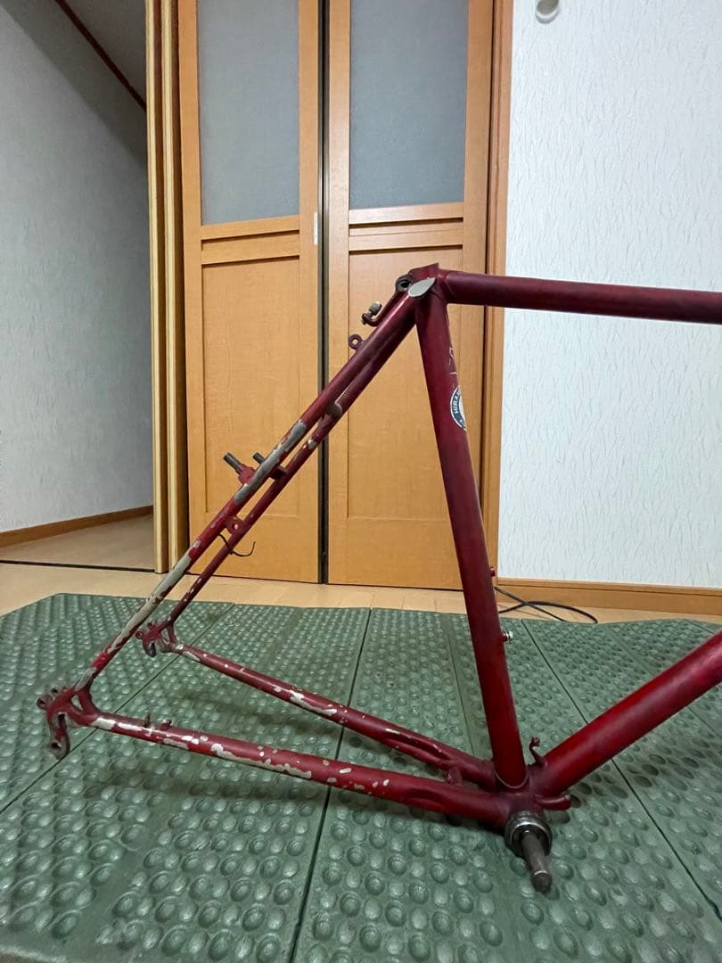 ヒラメ　ランドナー