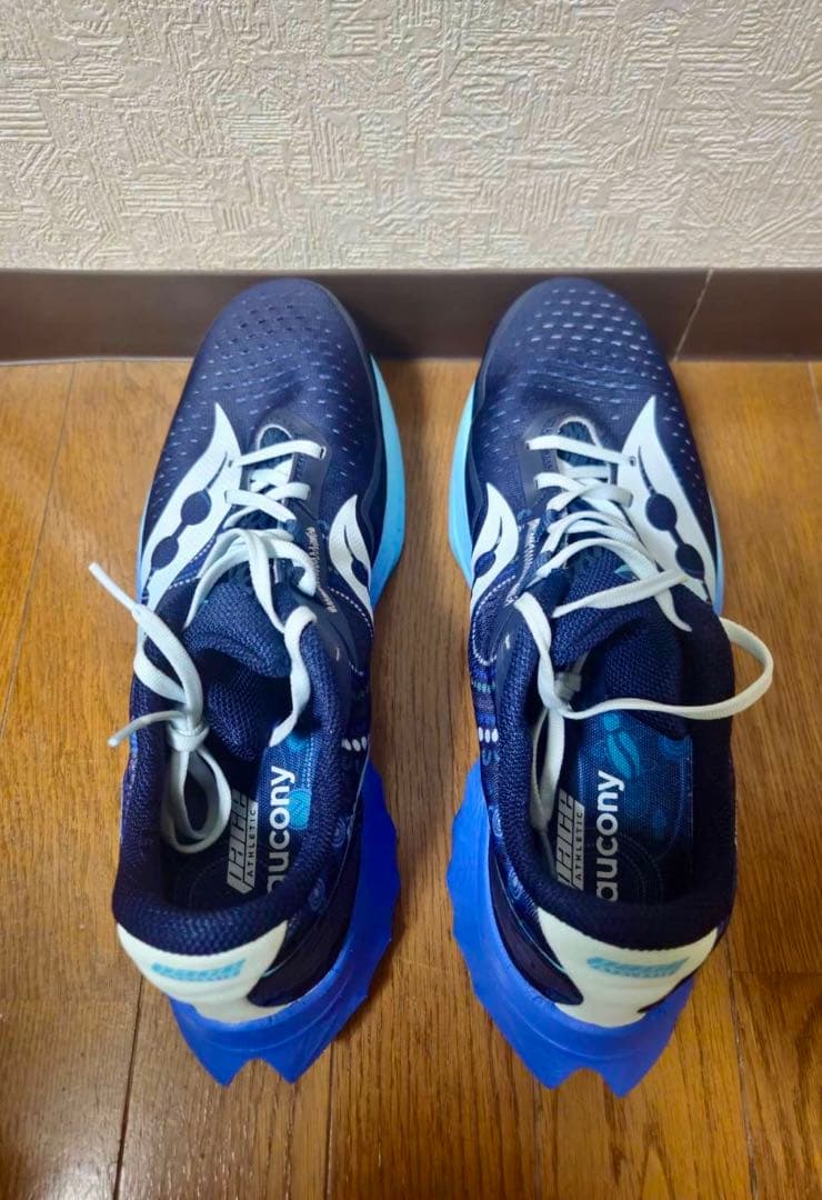【限定カラー】SAUCONY ENDORPHIN SPEED 4／29㎝