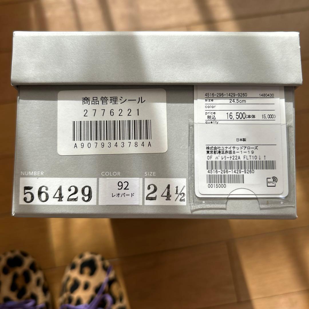 かわまん　24.5㎝　Odette e Odile レオパード