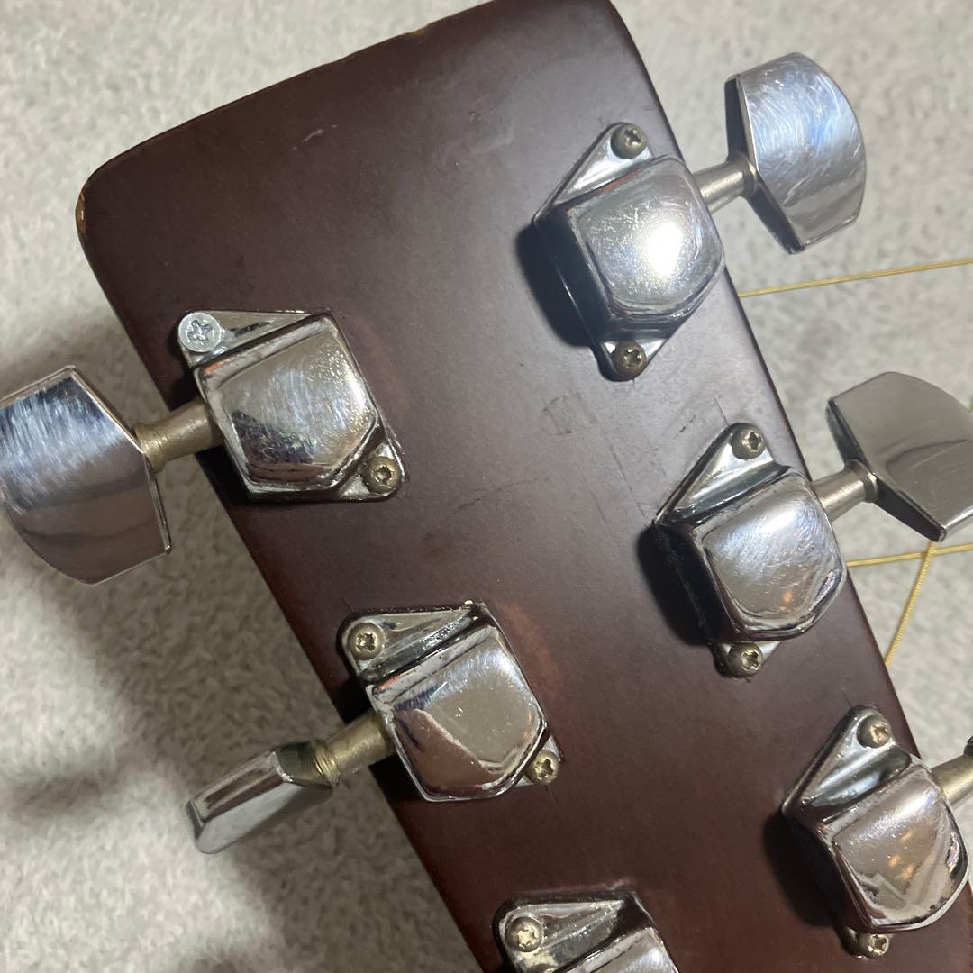 Morris アコースティックギター MD-502