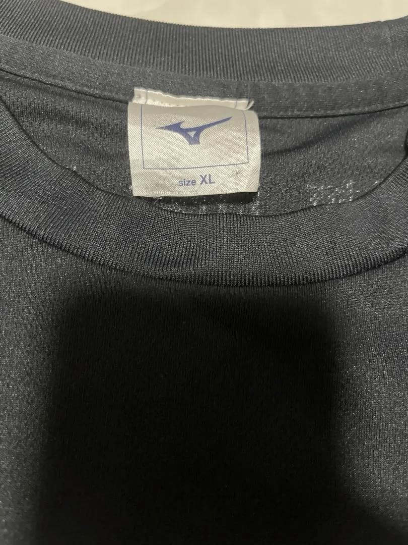 【美品】日体大 バレー 2019年 公式Tシャツ 日本体育大学 ユニフォーム