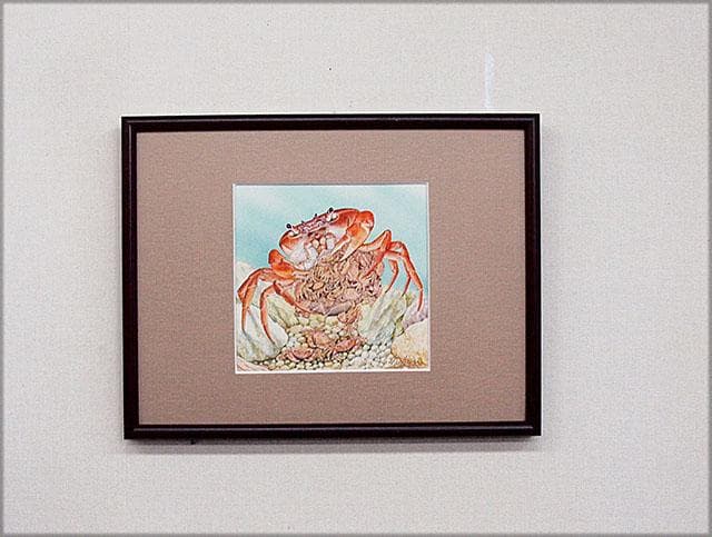 生物細密画「サワガニの子育て」