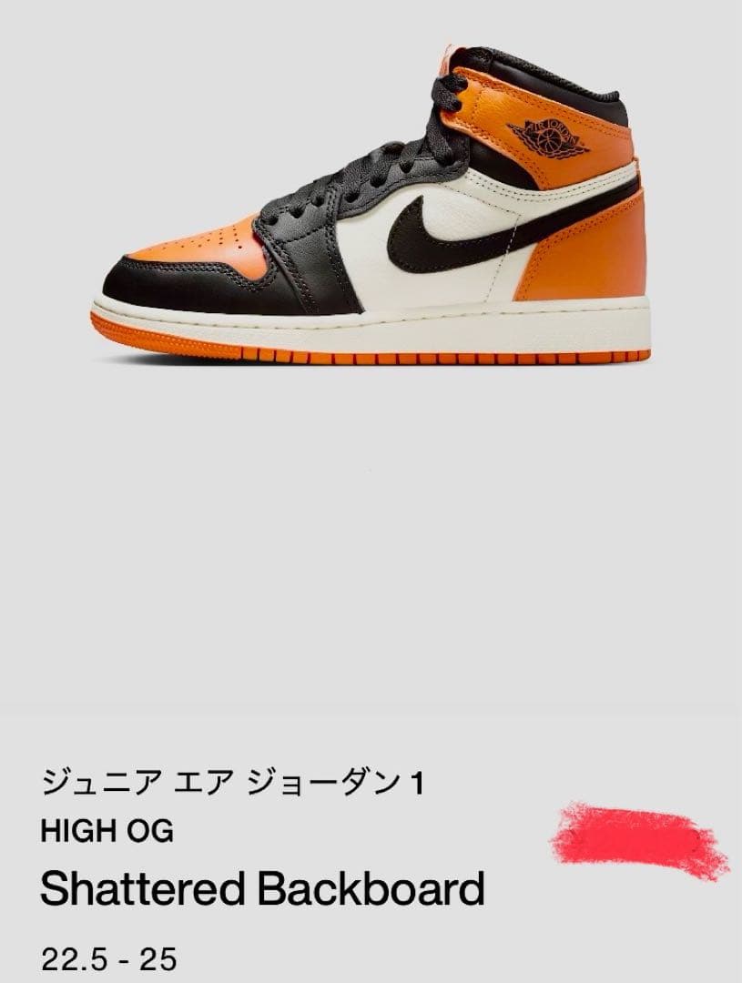 25cm エア ジョーダン1HIGHOG Shattered Backboard