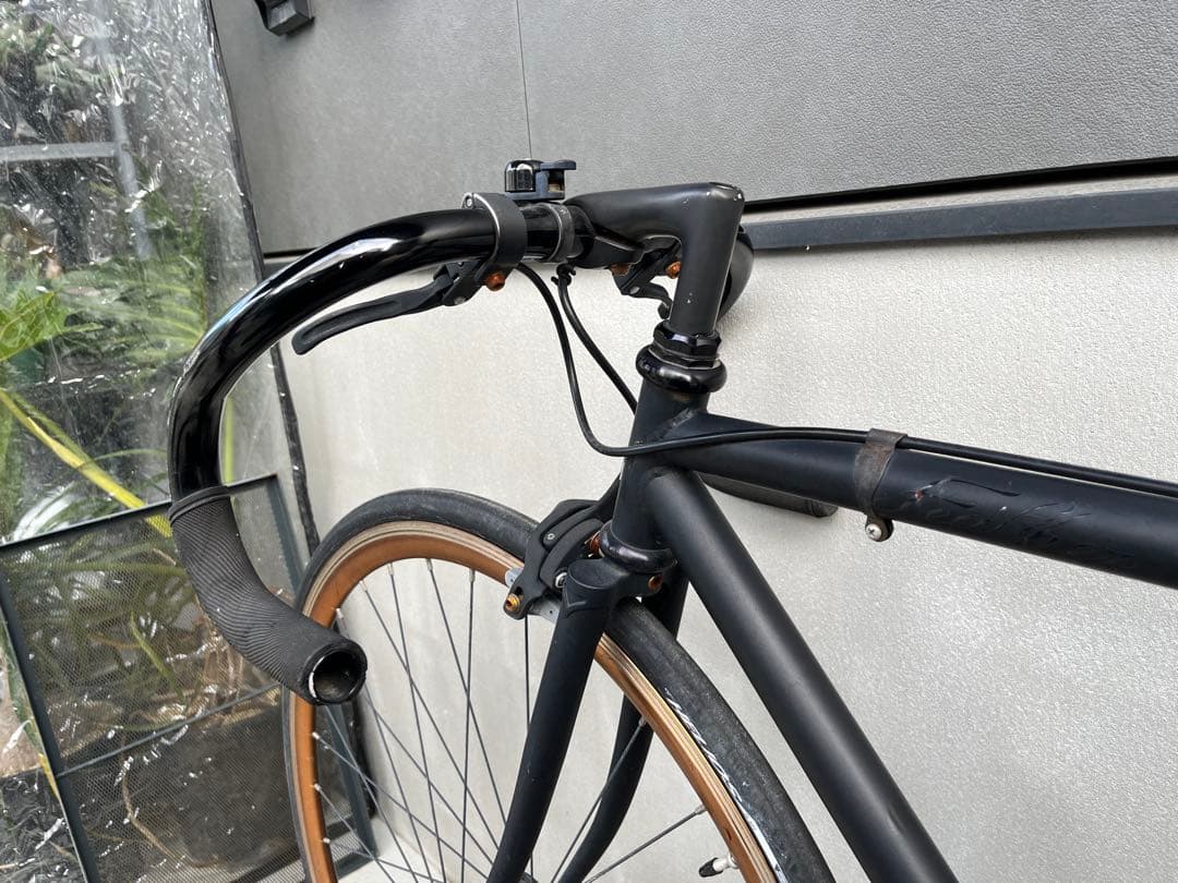 A*中様 FUJI fether
