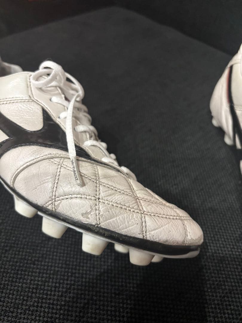 MIZUNO モレリアII JAPAN /クロスステッチ/25cm