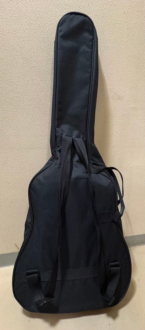 Fender malibu player アコギ エレアコ