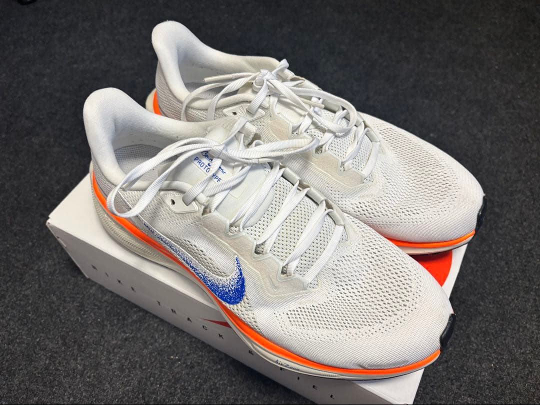 Nike ペガサス 41 ブループリント 極美品【28.0cm】Pegasus