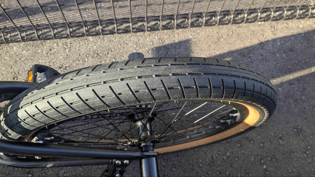 【三重・四日市引取限定】AVASTA Bucchus BMX自転車