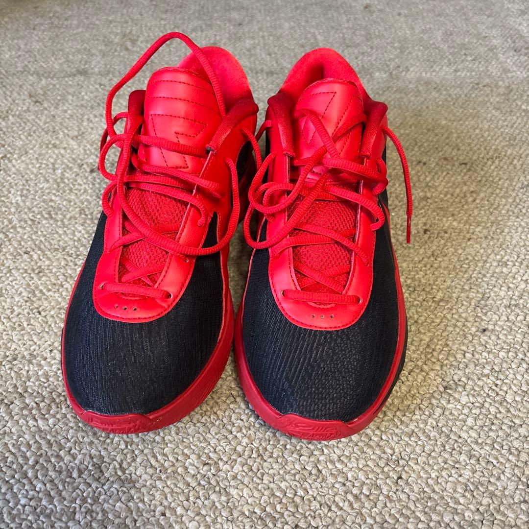 NIKE GIANNIS FREAK 6 EP /ヤニスフリーク28cm