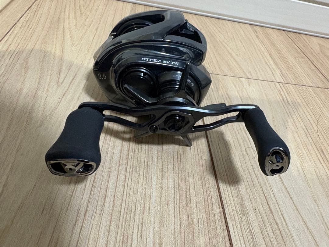 DAIWA 24スティーズ SV TW 100XH