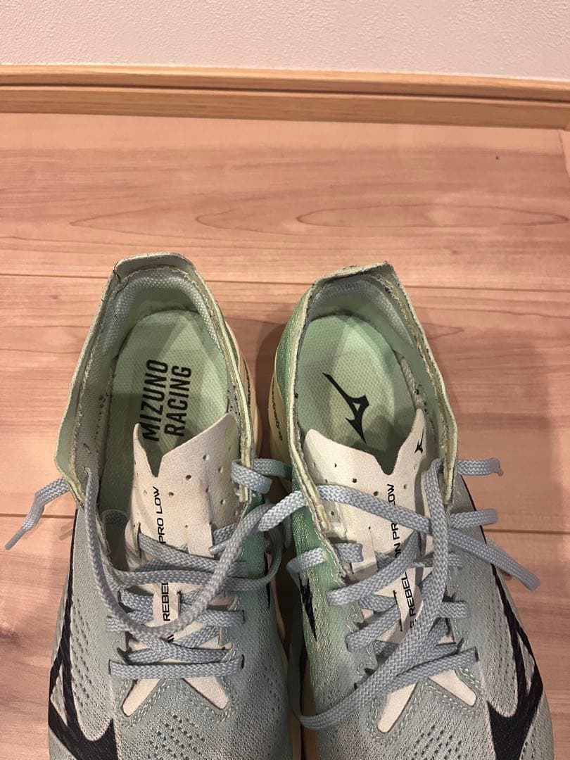 Mizuno Wave Rebellion PRO3 LOW サイズ26.0cm