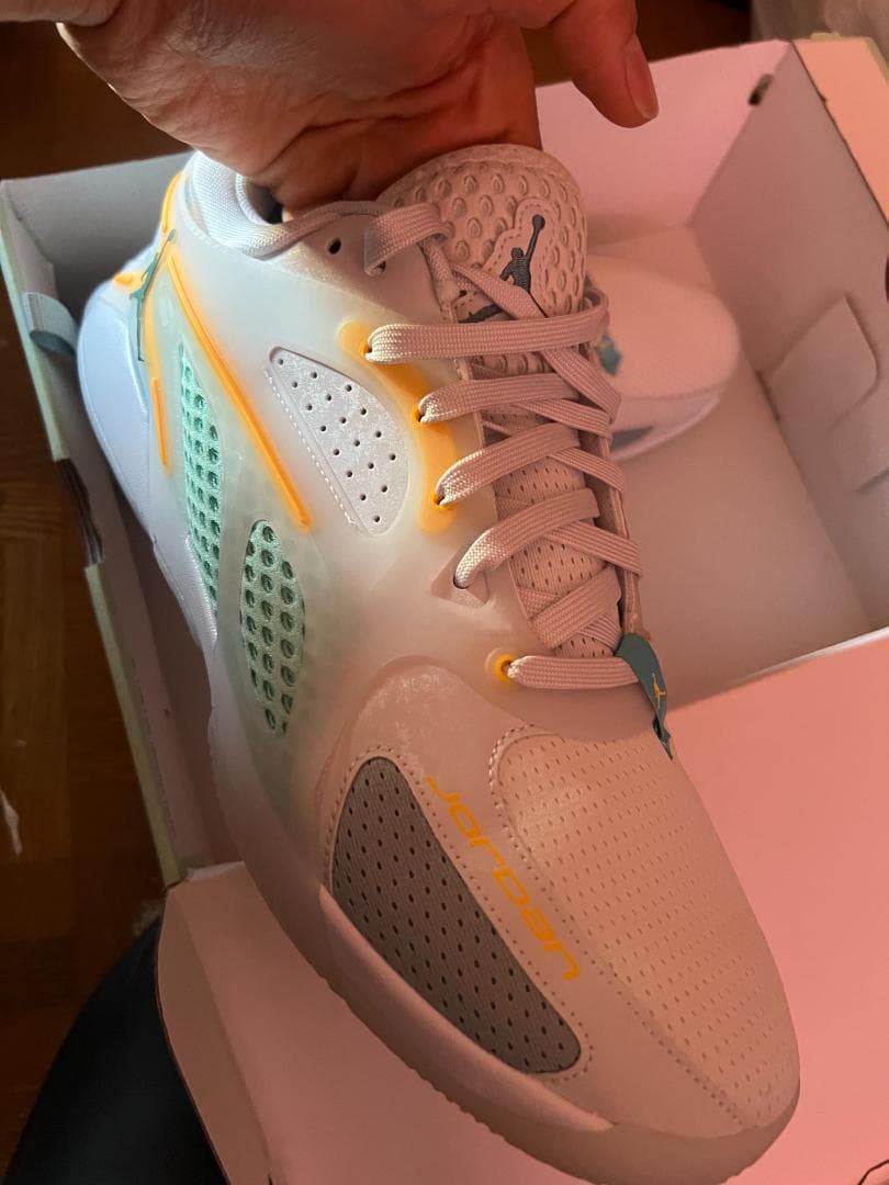 NIKE JORDAN HEIR PF Poolside 31cm 試着のみ