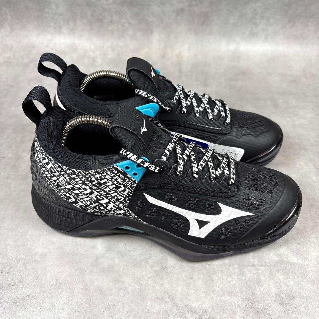 【限定モデル】ミズノ ウエーブモーメンタム カタカナ 24.5 バレーシューズ