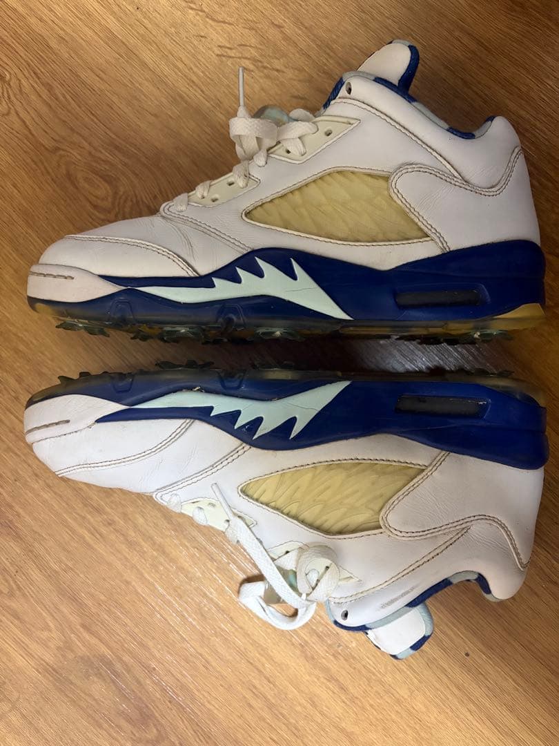 エアジョーダン5 ロウ ゴルフシューズ　Air Jordan Ⅴ LOW