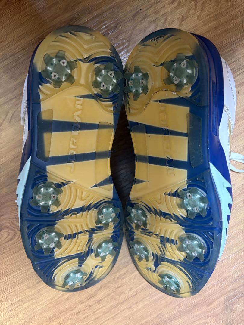 エアジョーダン5 ロウ ゴルフシューズ　Air Jordan Ⅴ LOW