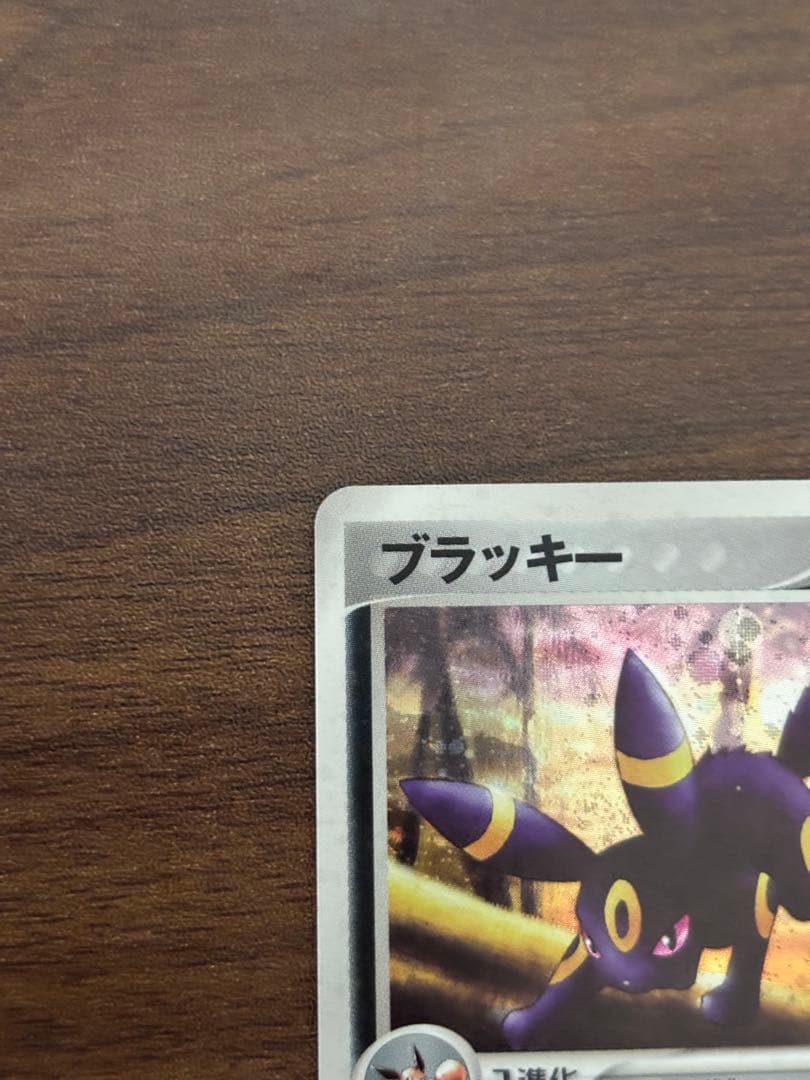 ブラッキー 1ED ★ 強化拡張パック マグマVSアクア ふたつの野望