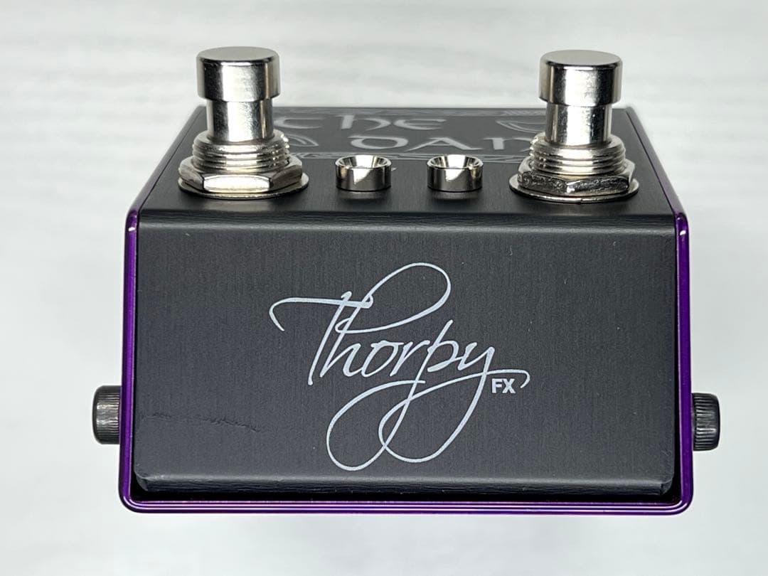 ギター Thorpy FX The Dane MK2