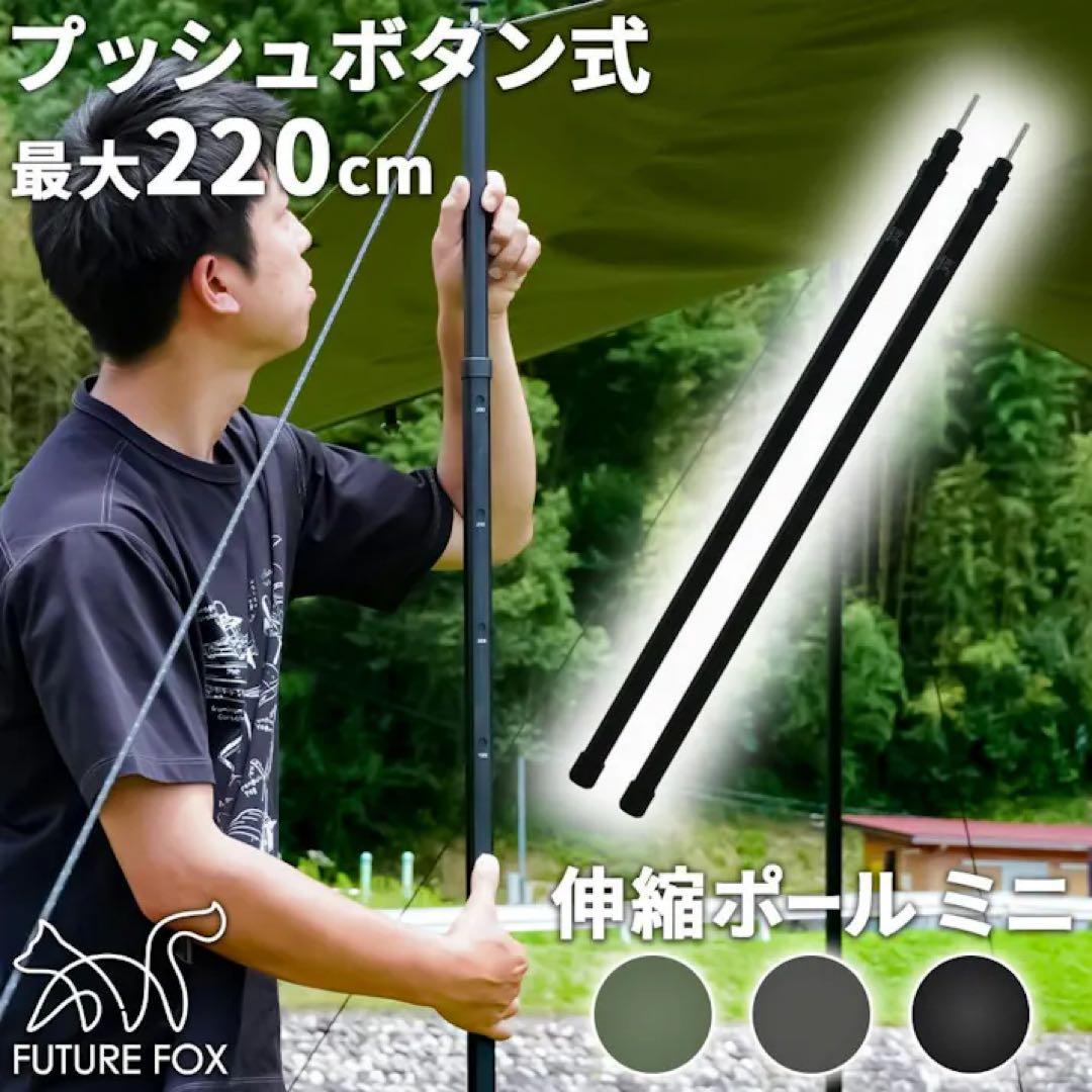 美品　FUTUREFOX 伸縮ポールミニ　2本セット　〜220cm