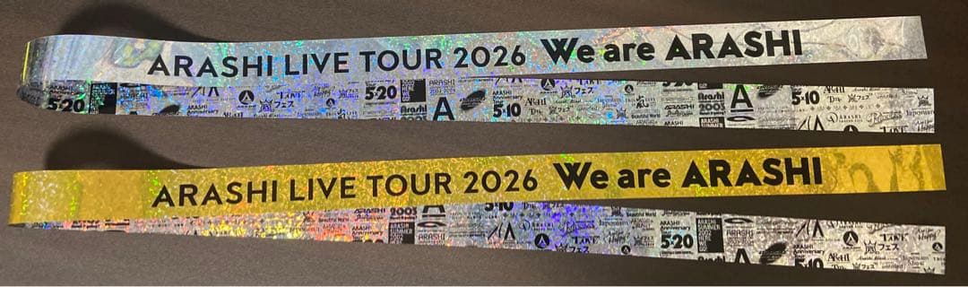 We are ARASHI 銀テ