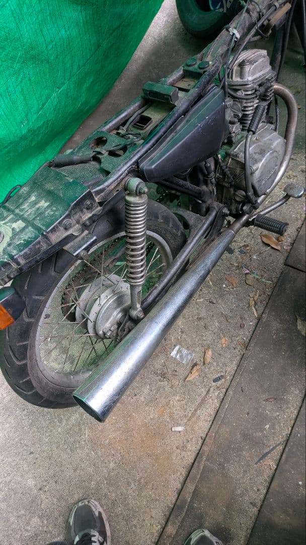 cb50s　素揚げ