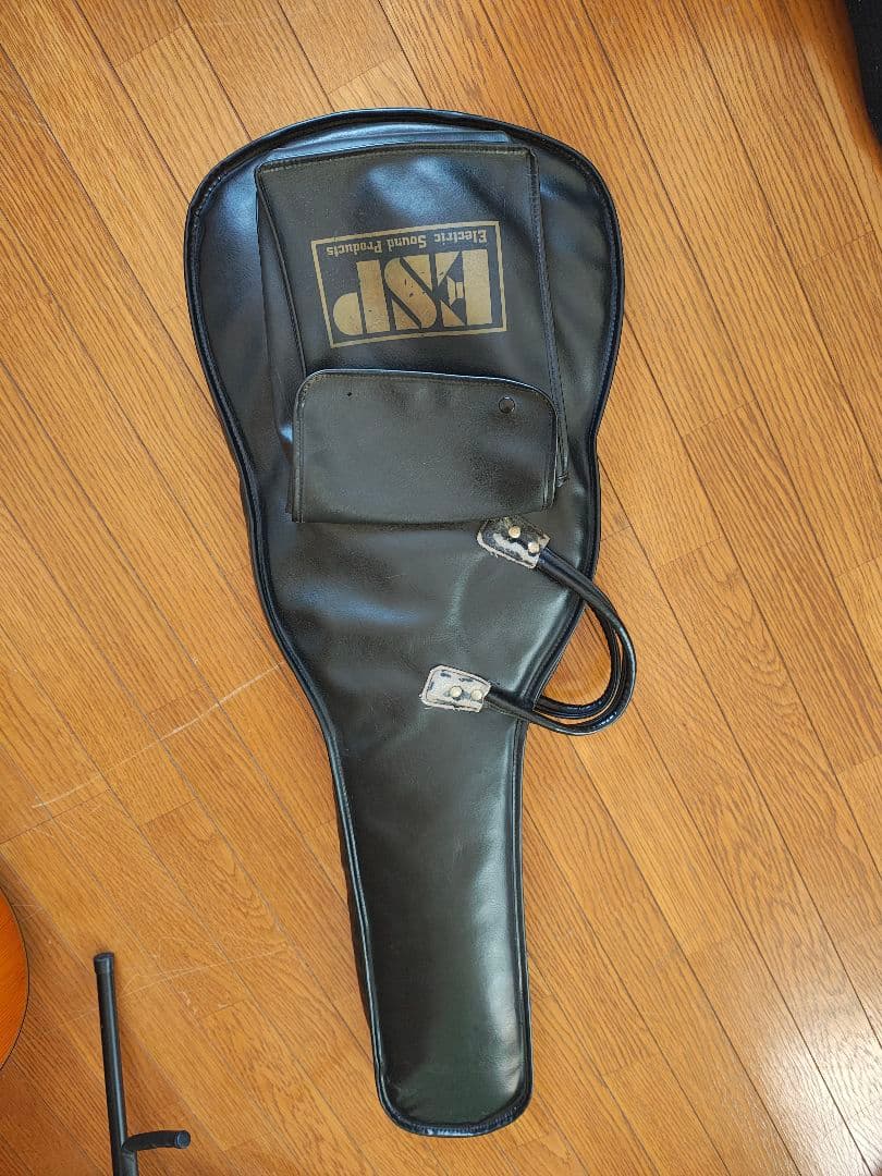 エレキギター フォレストGrass Roots by ESP G-FR-62GT