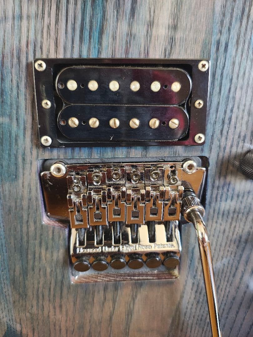 エレキギター フォレストGrass Roots by ESP G-FR-62GT