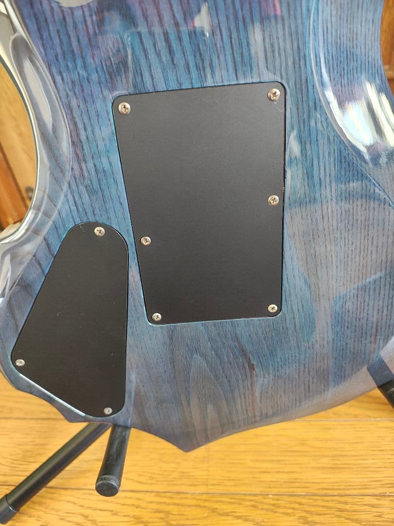 エレキギター フォレストGrass Roots by ESP G-FR-62GT