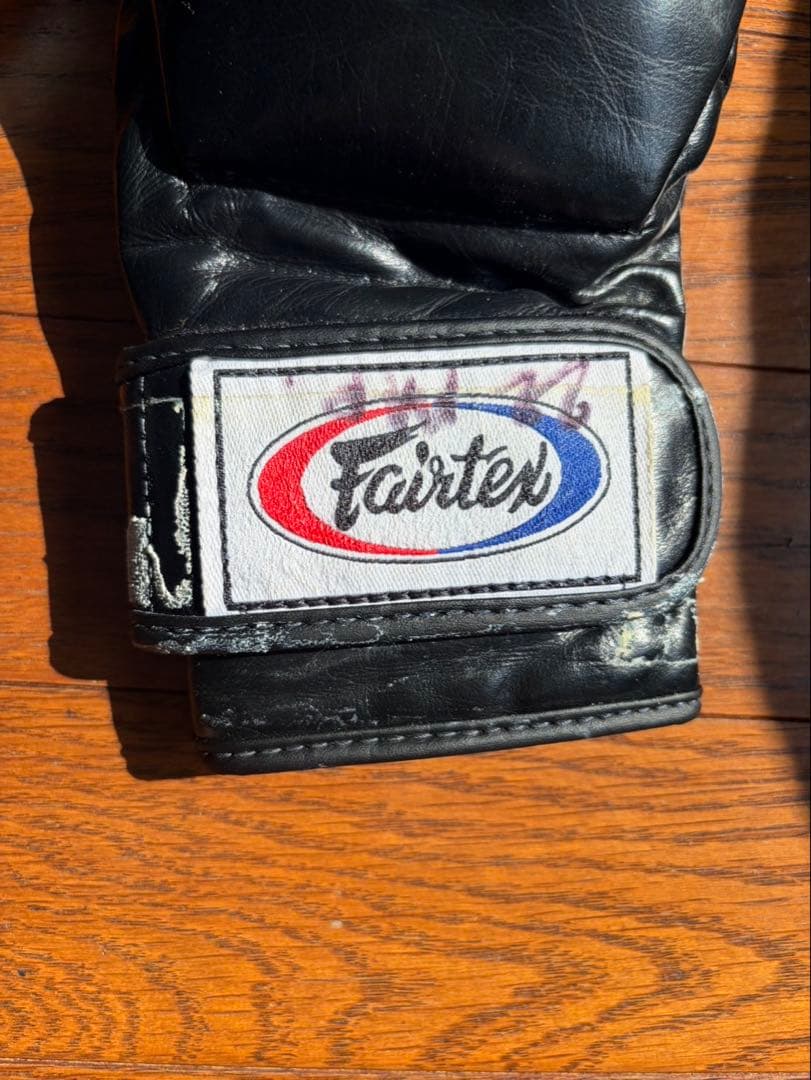 Fairtex ONE オープンフィンガーグローブ