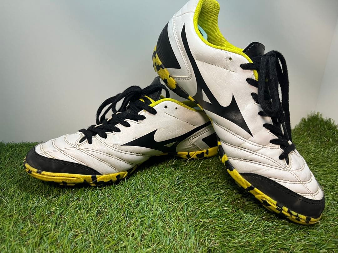 MIZUNO ミズノ　モナルシーダ　トレーニングシューズ