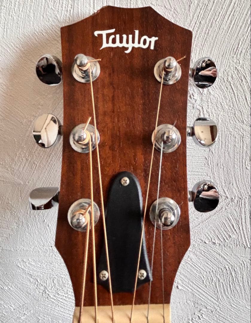 [ケース有] Taylor GS Mini Rosewood