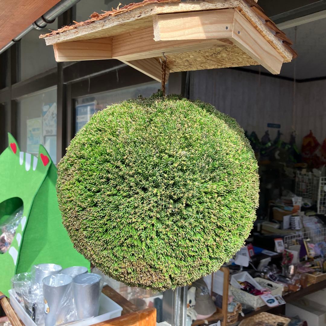 杉玉【屋根付き】①