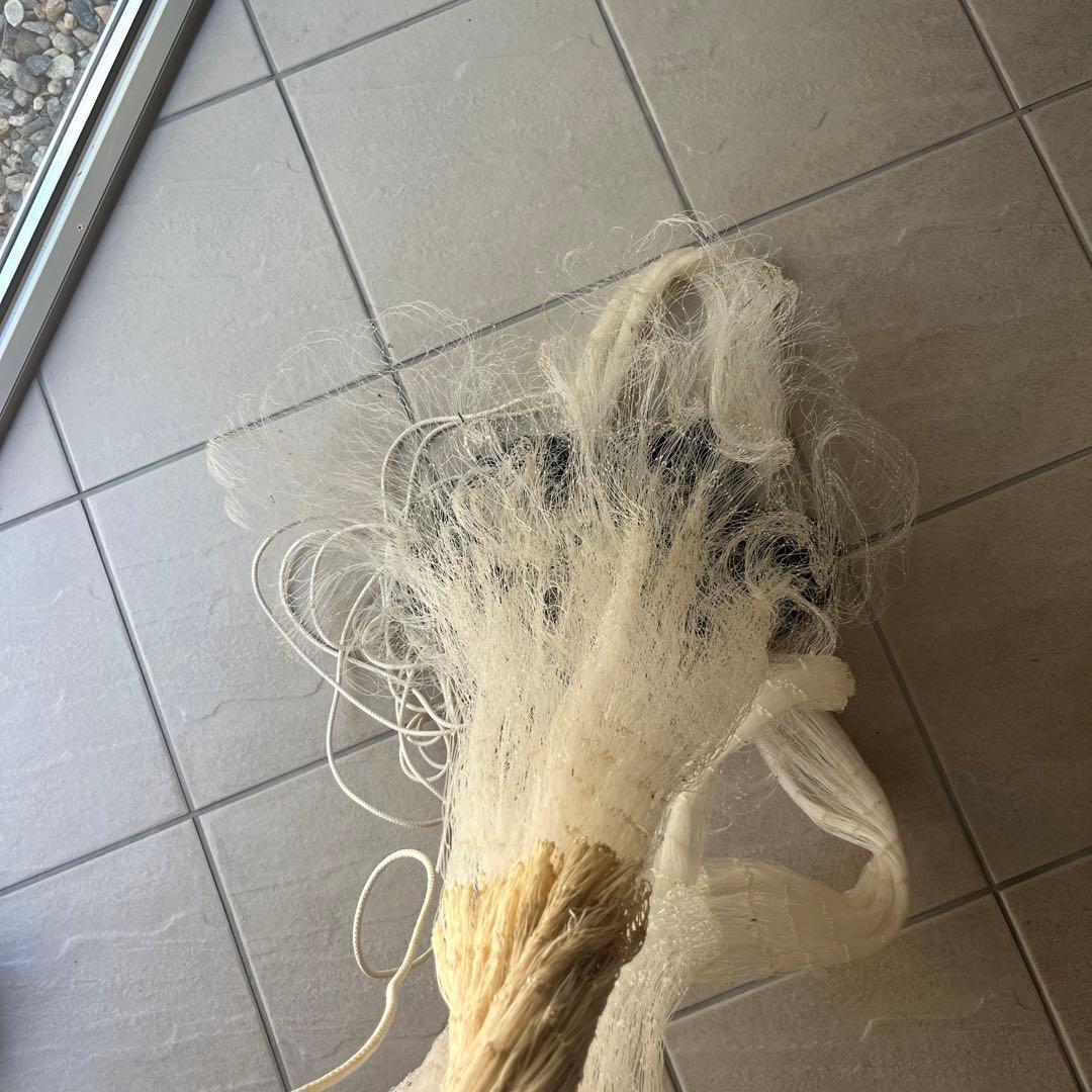 投網