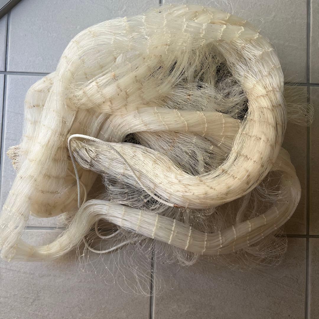 投網