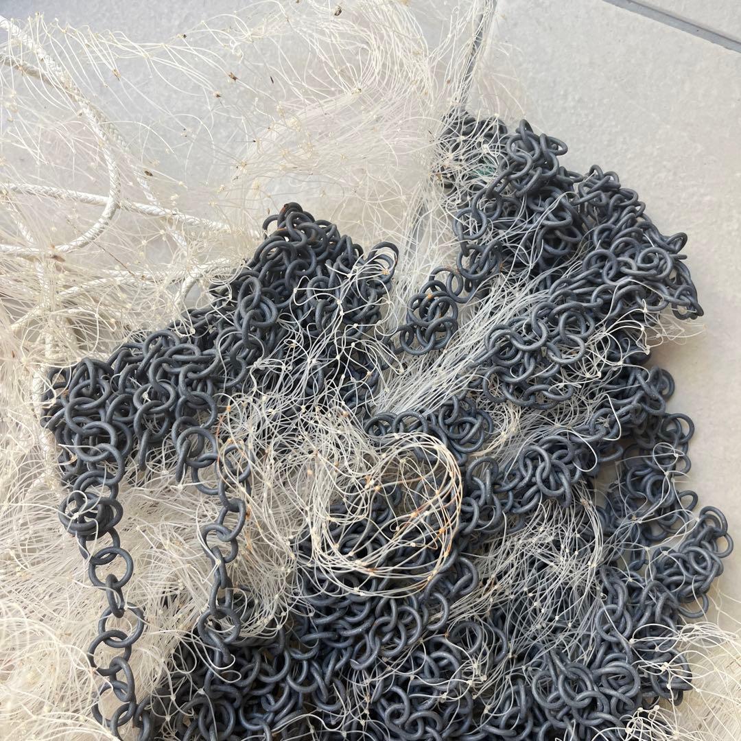 投網