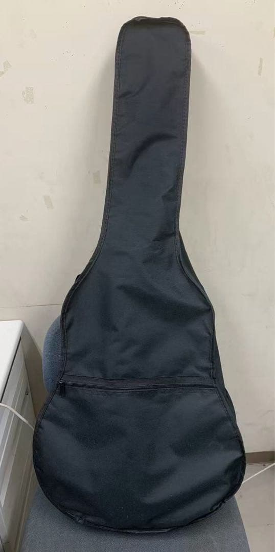 HONEY BEE アコースティックギター F-15M BK