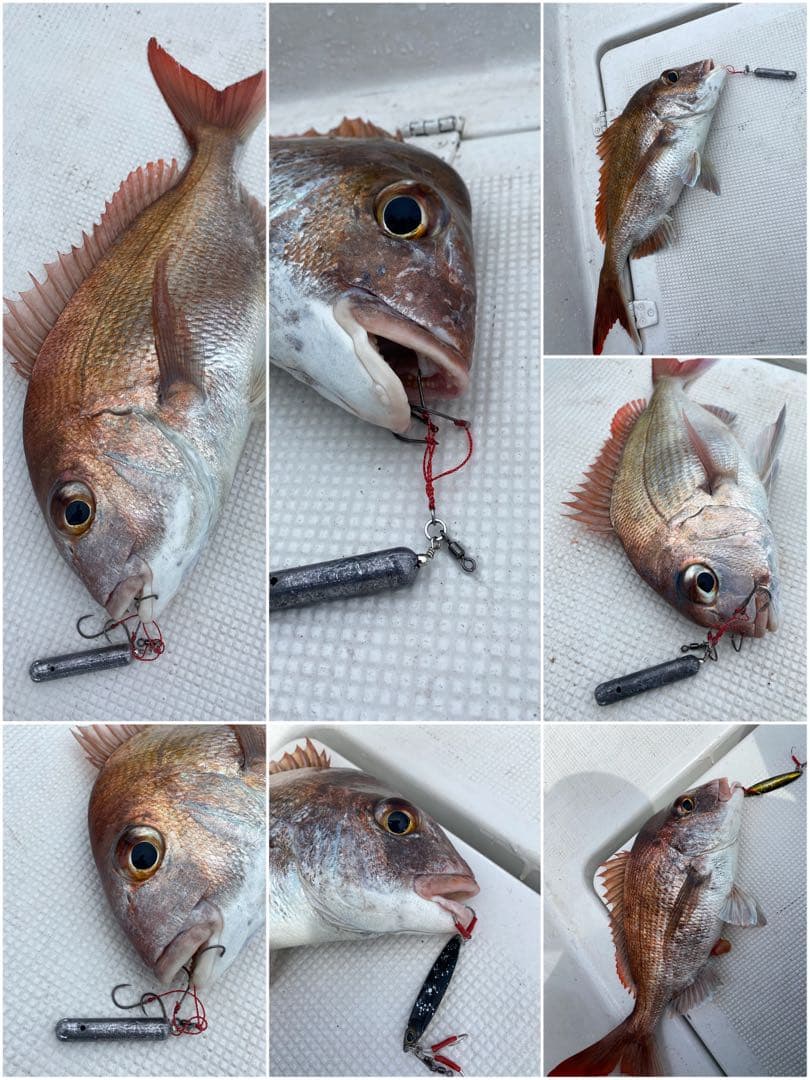 コスパ最強で釣果抜群！★エビ針ジグ★魚釣り 船釣り 仕掛け ★送料無料★