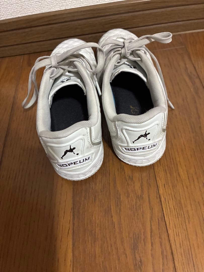 joykick サッカートレシュー