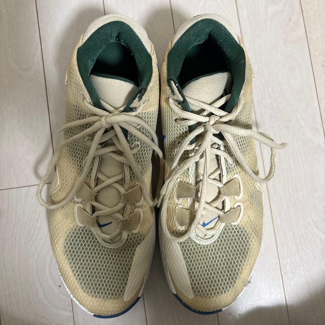NIKE ZOOM FREAK 1バッシュ 26.5cm ベージュ　フリーク1
