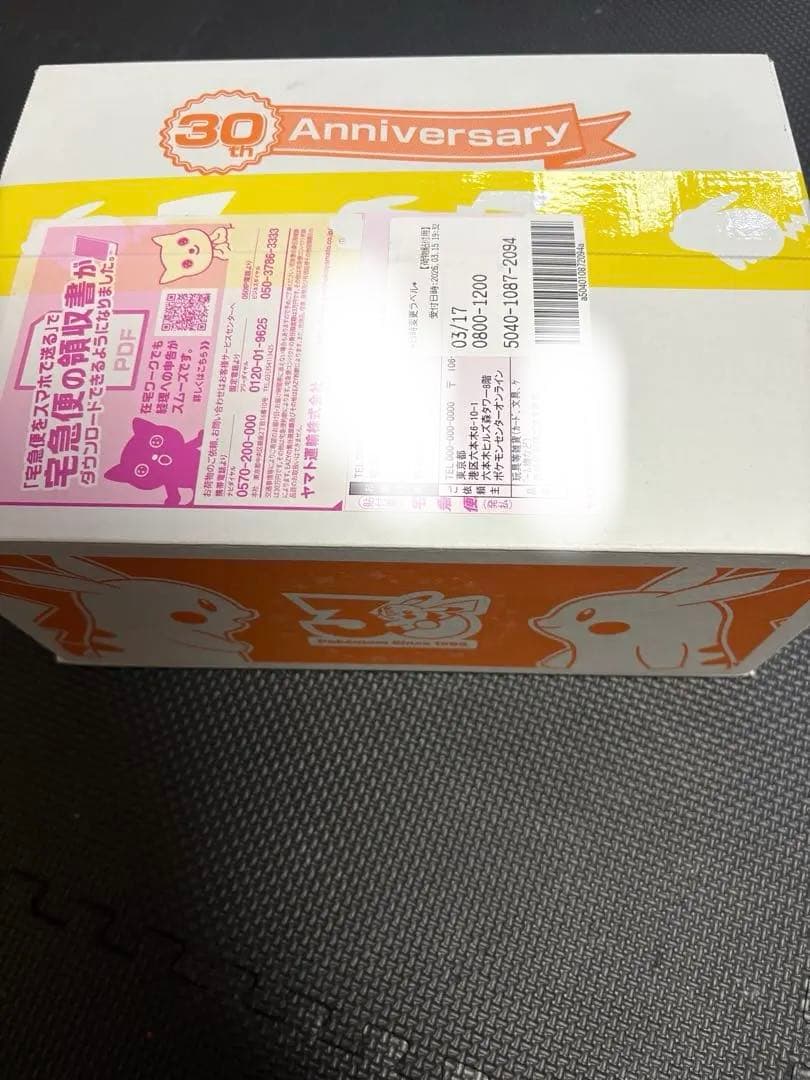 30周年記念 ピカピカ！ピカチュウぬいぐるみ