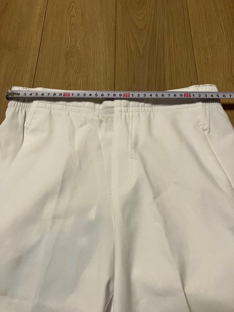 新品 未使用 デサント ムーブスポーツ パンツ 白 メンズ L トレーニング 春