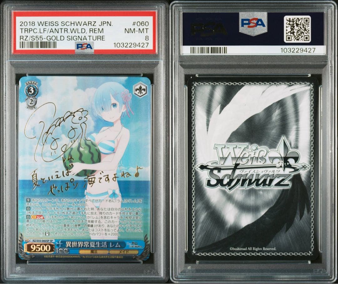 異世界常夏生活レム　psa8