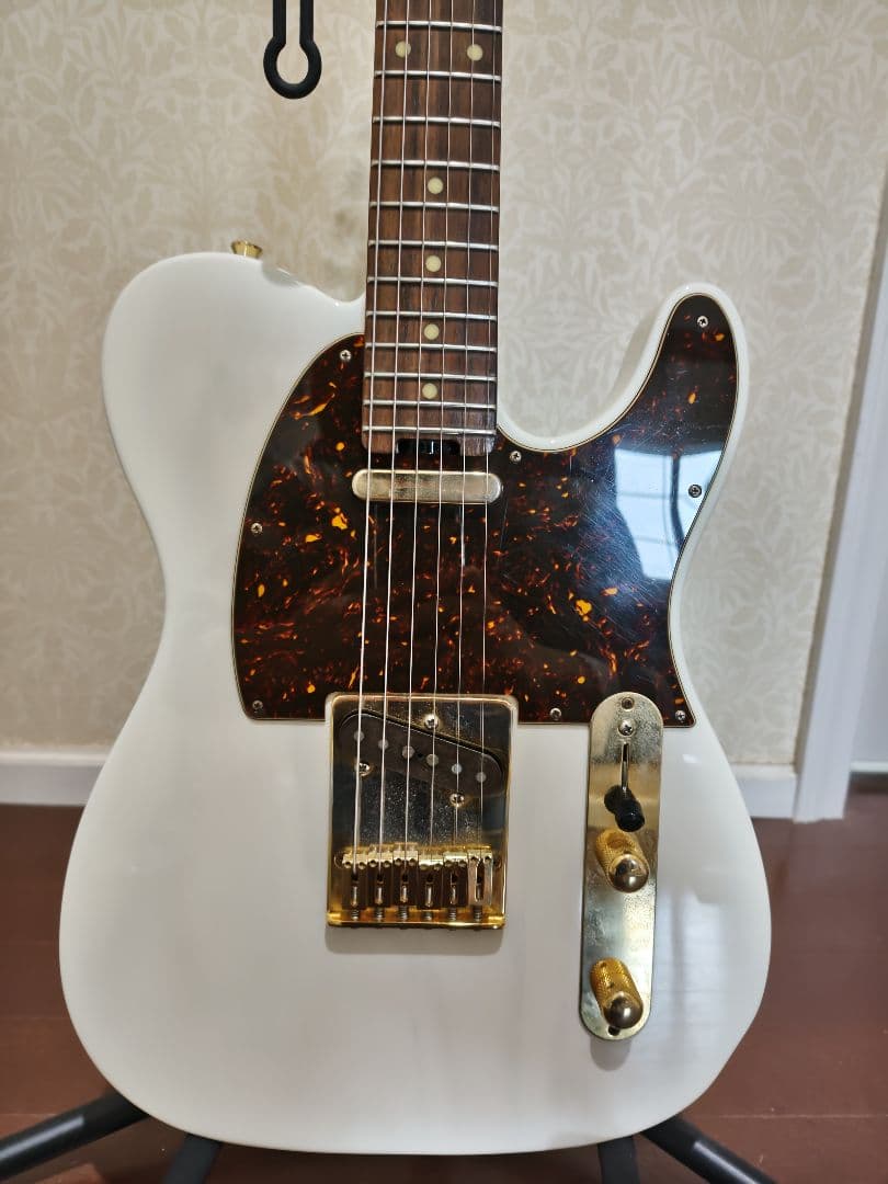 ギター Schecter Progauge Series PS-TL-N SWSB/R