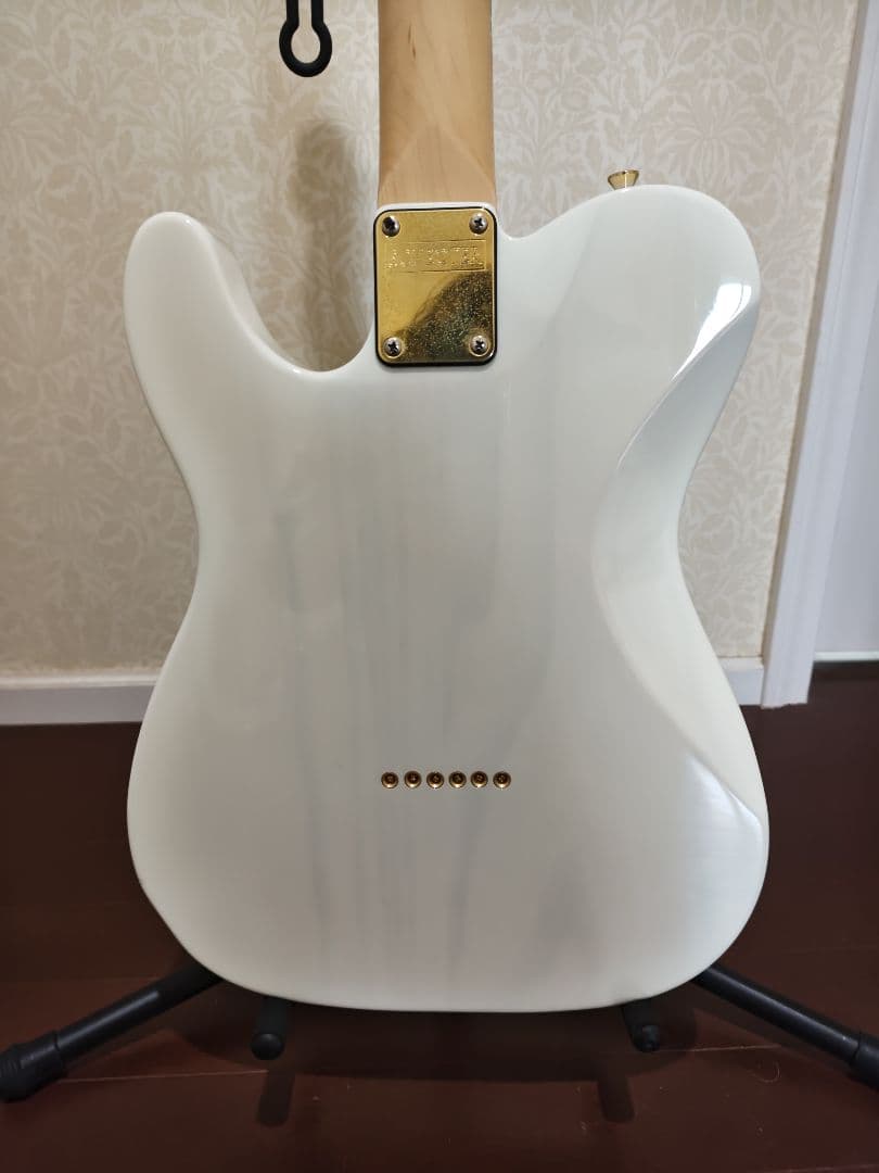 ギター Schecter Progauge Series PS-TL-N SWSB/R