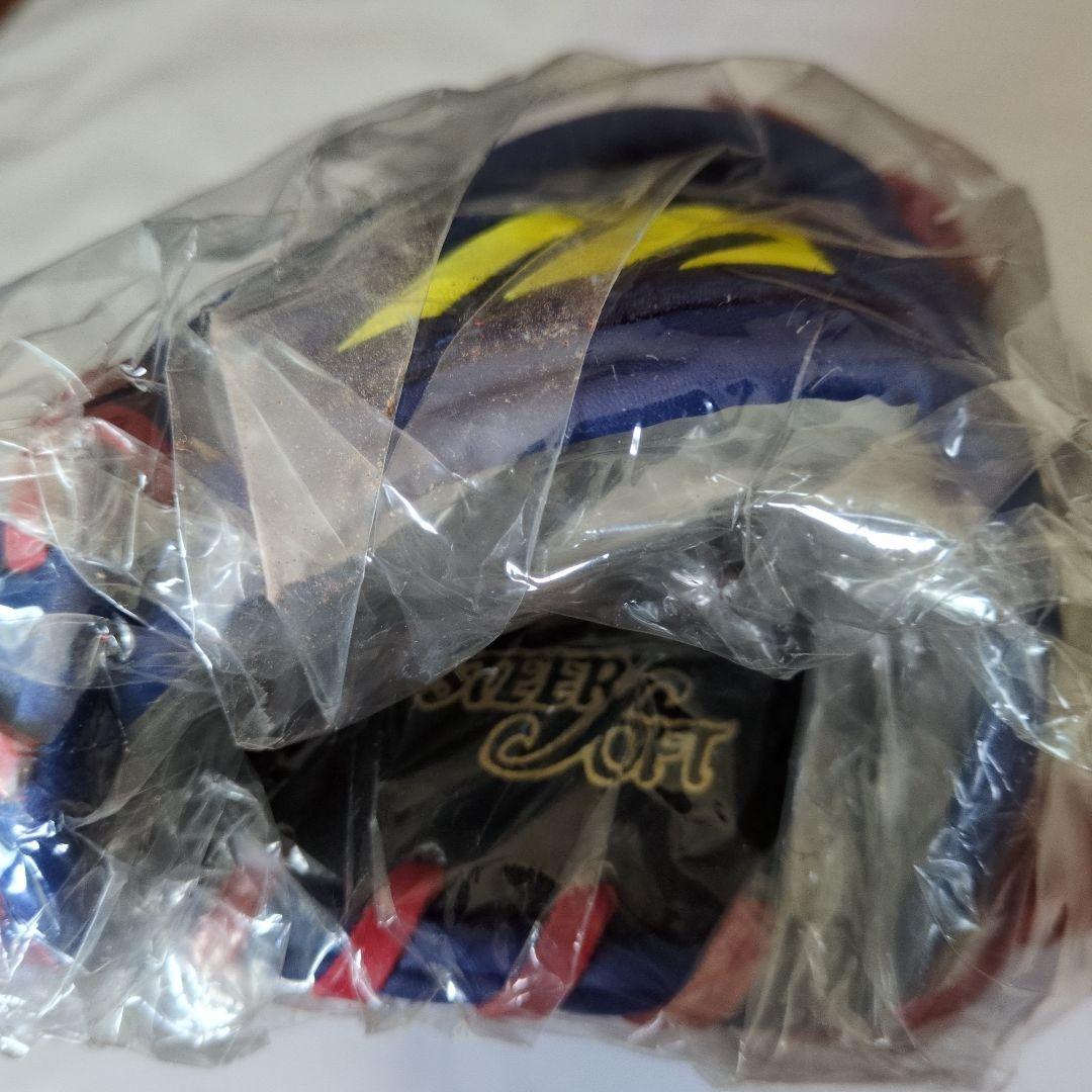 非売品　中日ドラゴンズ　サイン刻印入り　ナゴヤドーム記念　ミズノ　軟式グローブ