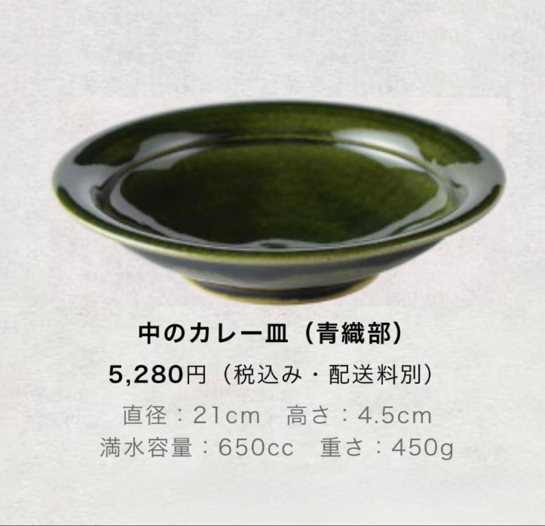 ほんとにだいじなカレー皿 2枚セット 中サイズ ほぼ日 青織部
