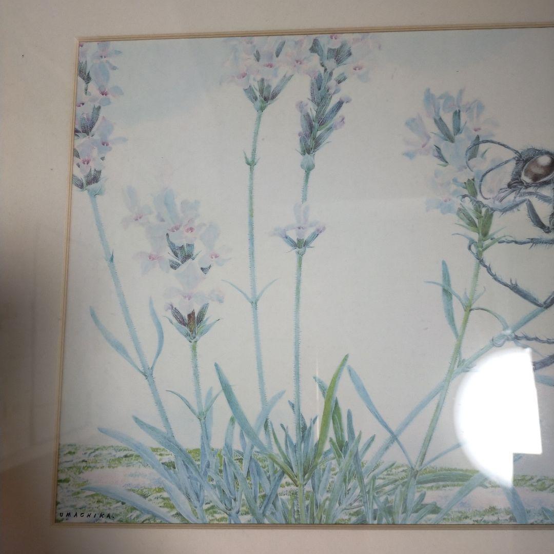 熊田千佳慕　額縁入り絵画　ハチと花