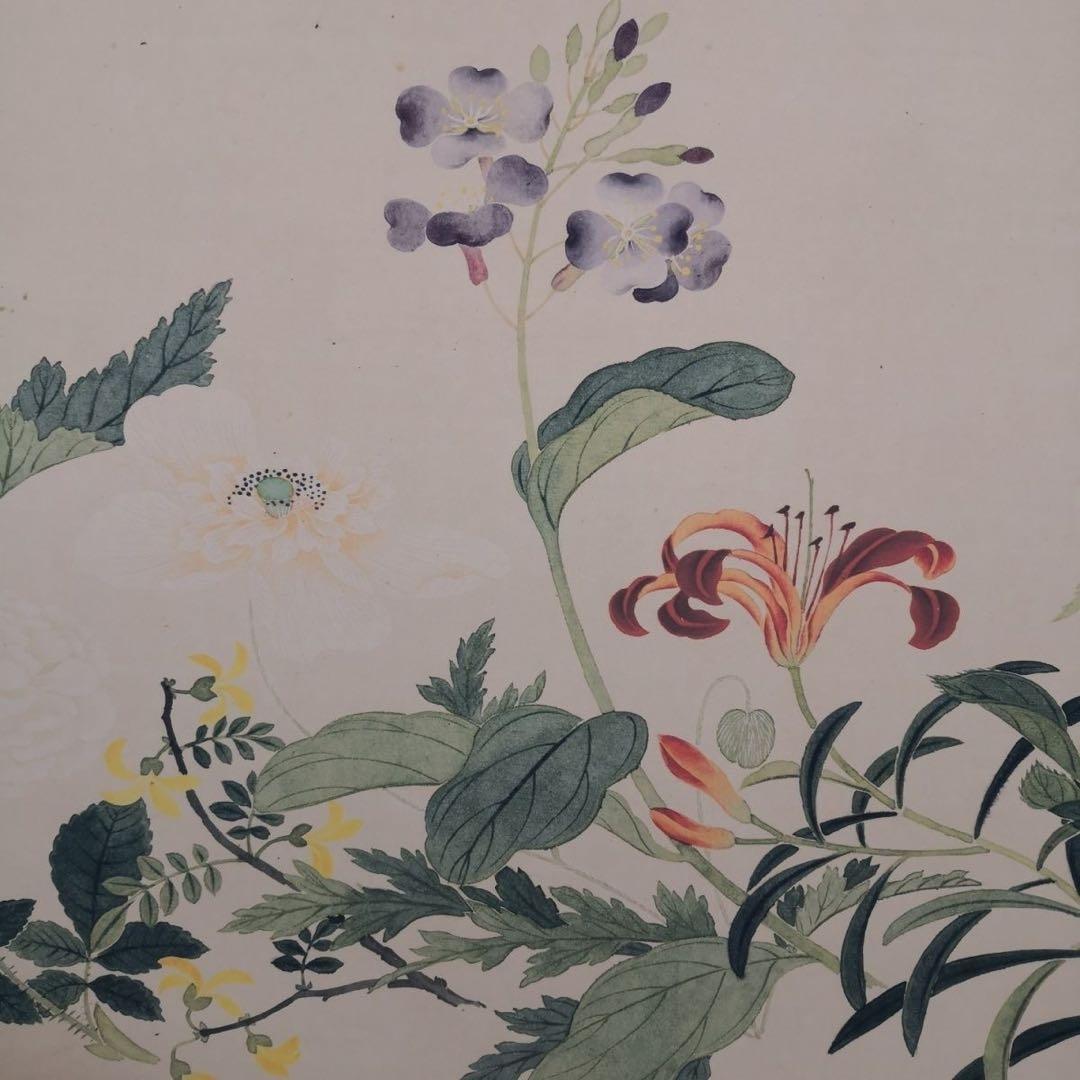 万有同春図 長巻 掛軸 70×340cm 花鳥画