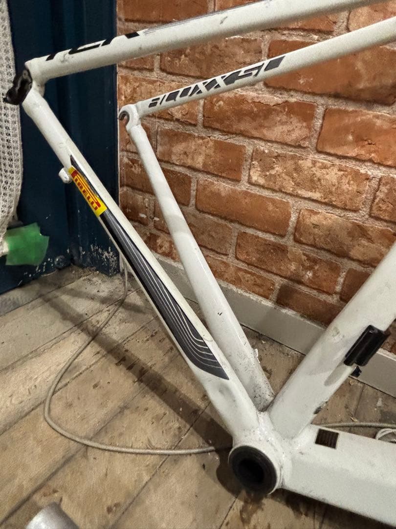 レ*れ様 Giant tcr0 Mサイズ